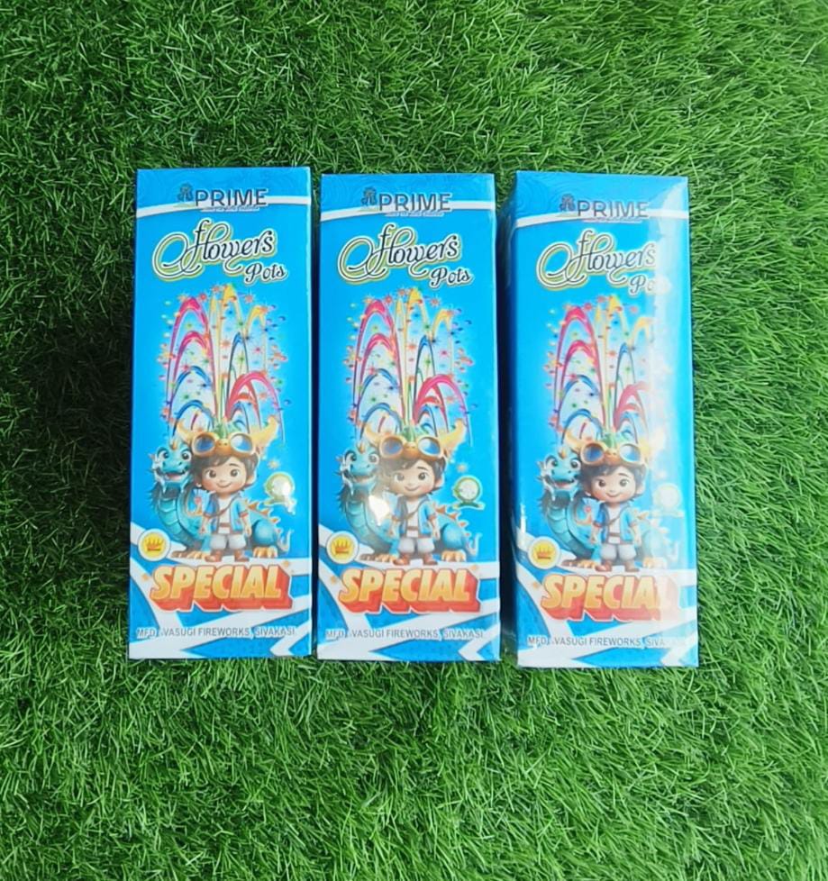 FLOWER POTS SPECIAL (10 PCS)